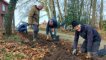 Afbeelding voor Rotary Helpt Project '1.800 Tulpenbollen bij verzorgingshuizen'