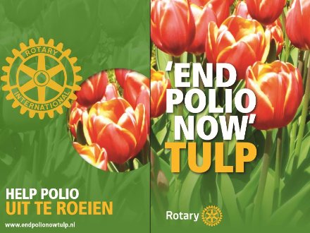 end polio now  tulpenactie