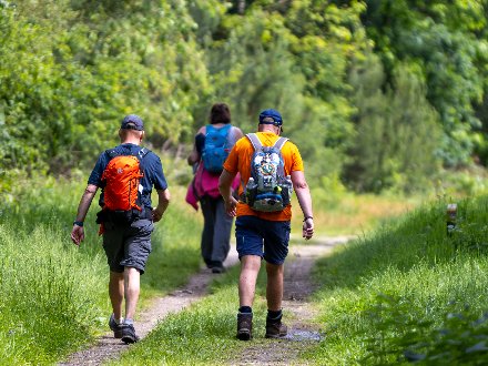 Heuvelrug Wandeltocht