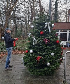 Afbeelding met boom, buitenshuis, kerstboom, plant

Automatisch gegenereerde beschrijving